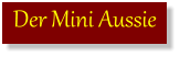 Der Mini Aussie