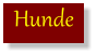 Hunde