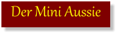Der Mini Aussie