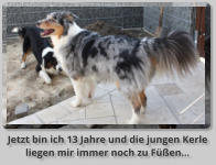 Jetzt bin ich 13 Jahre und die jungen Kerle  liegen mir immer noch zu Füßen...