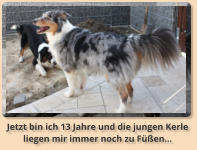 Jetzt bin ich 13 Jahre und die jungen Kerle  liegen mir immer noch zu Füßen...