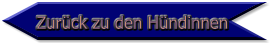 Zurück zu den Hündinnen