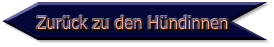 Zurück zu den Hündinnen