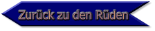 Zurück zu den Rüden