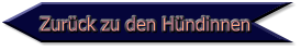 Zurück zu den Hündinnen